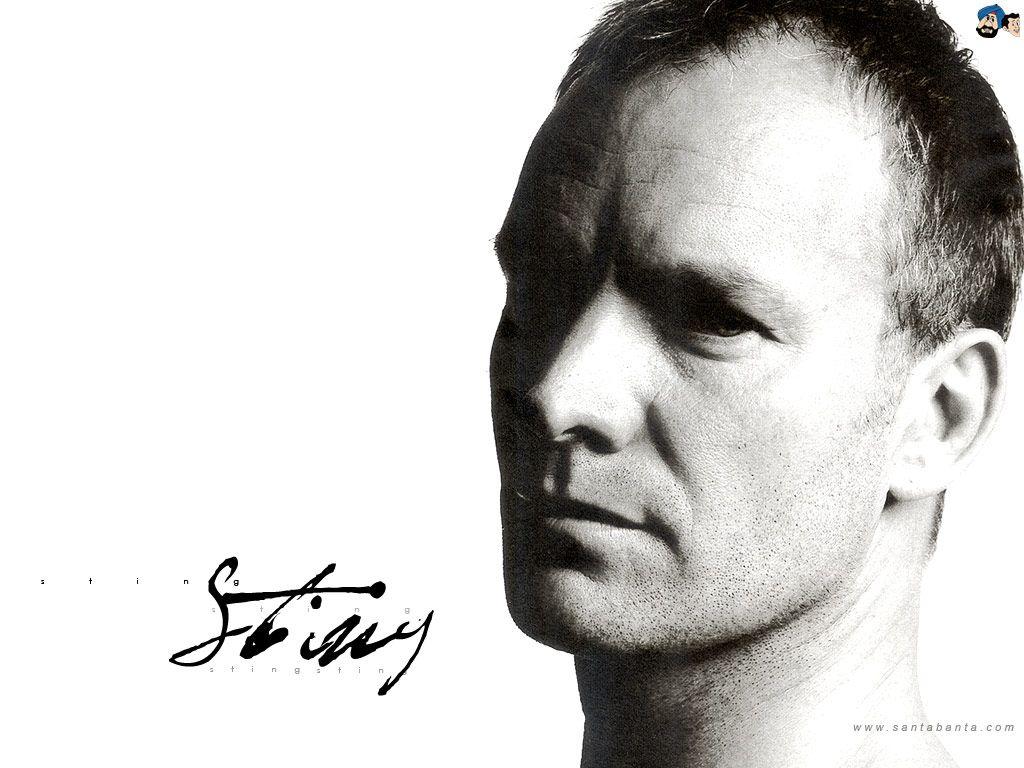 Sting Wallpaper Sting 2K wallpapers and backgrounds photos