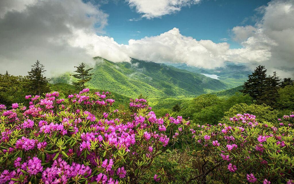 Appalachian Mountains North Carolina Blue Ridge Parkway Spring