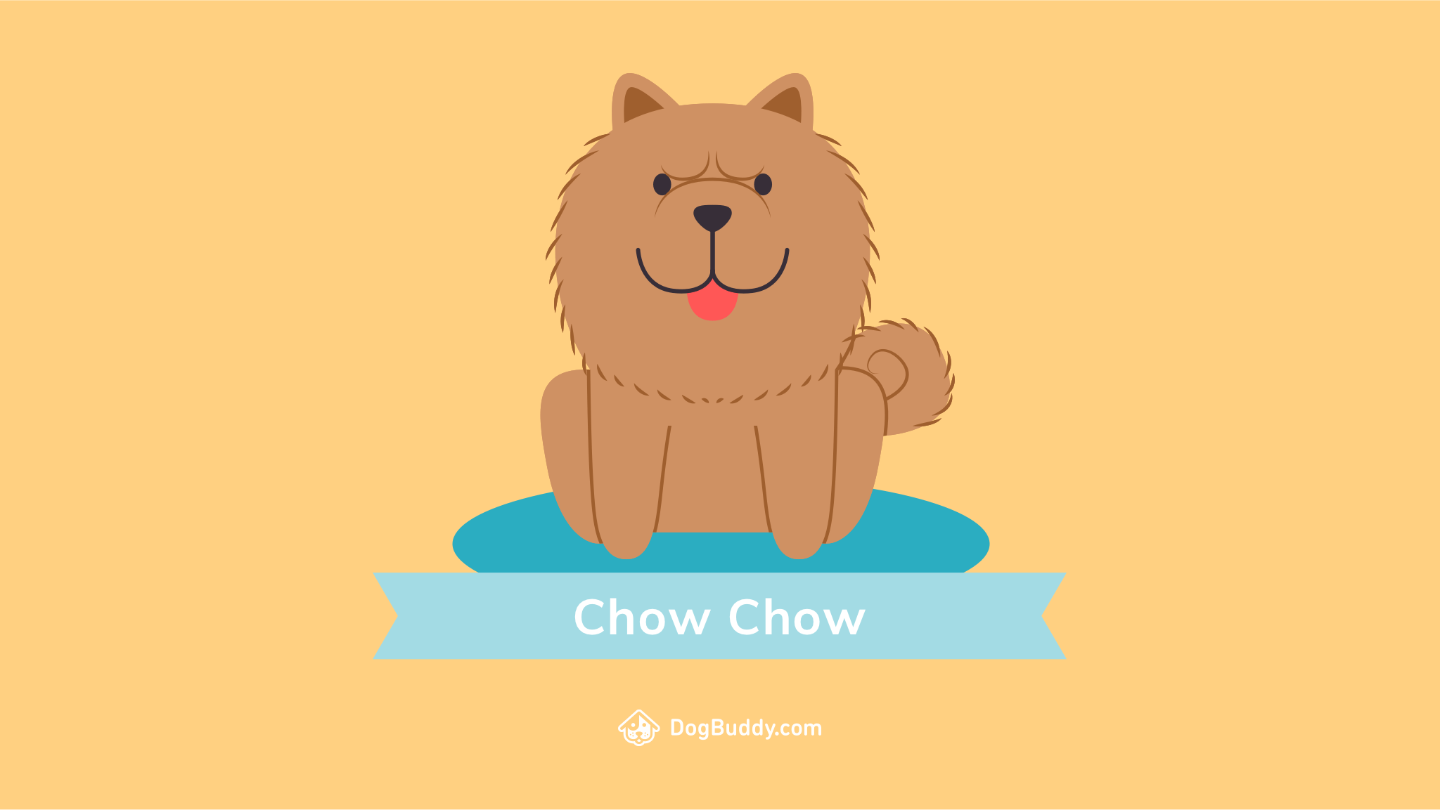 Chow Chow Wallpapers and Backgrounds