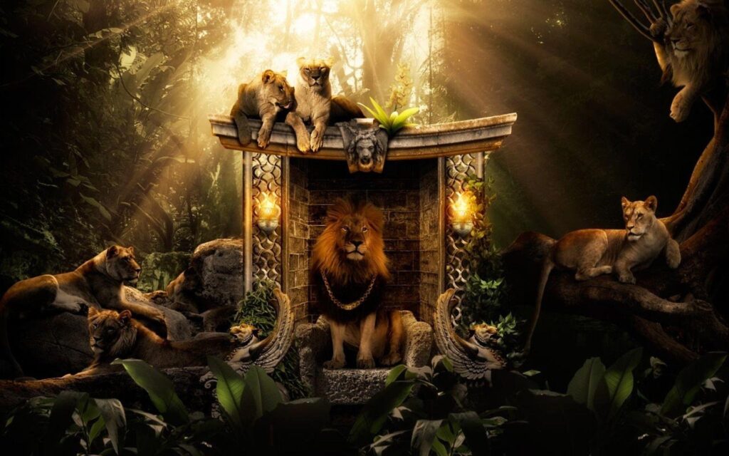 Lions Jungle Wallpapers