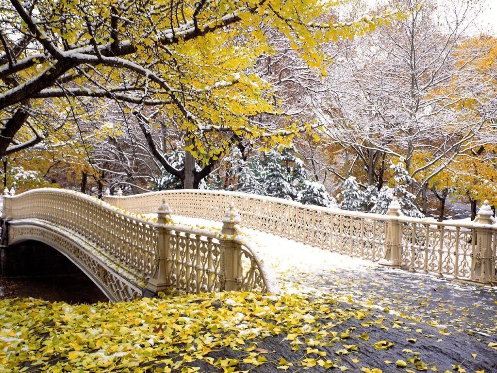 Wallpaper For – Central Park Winter Wallpapers