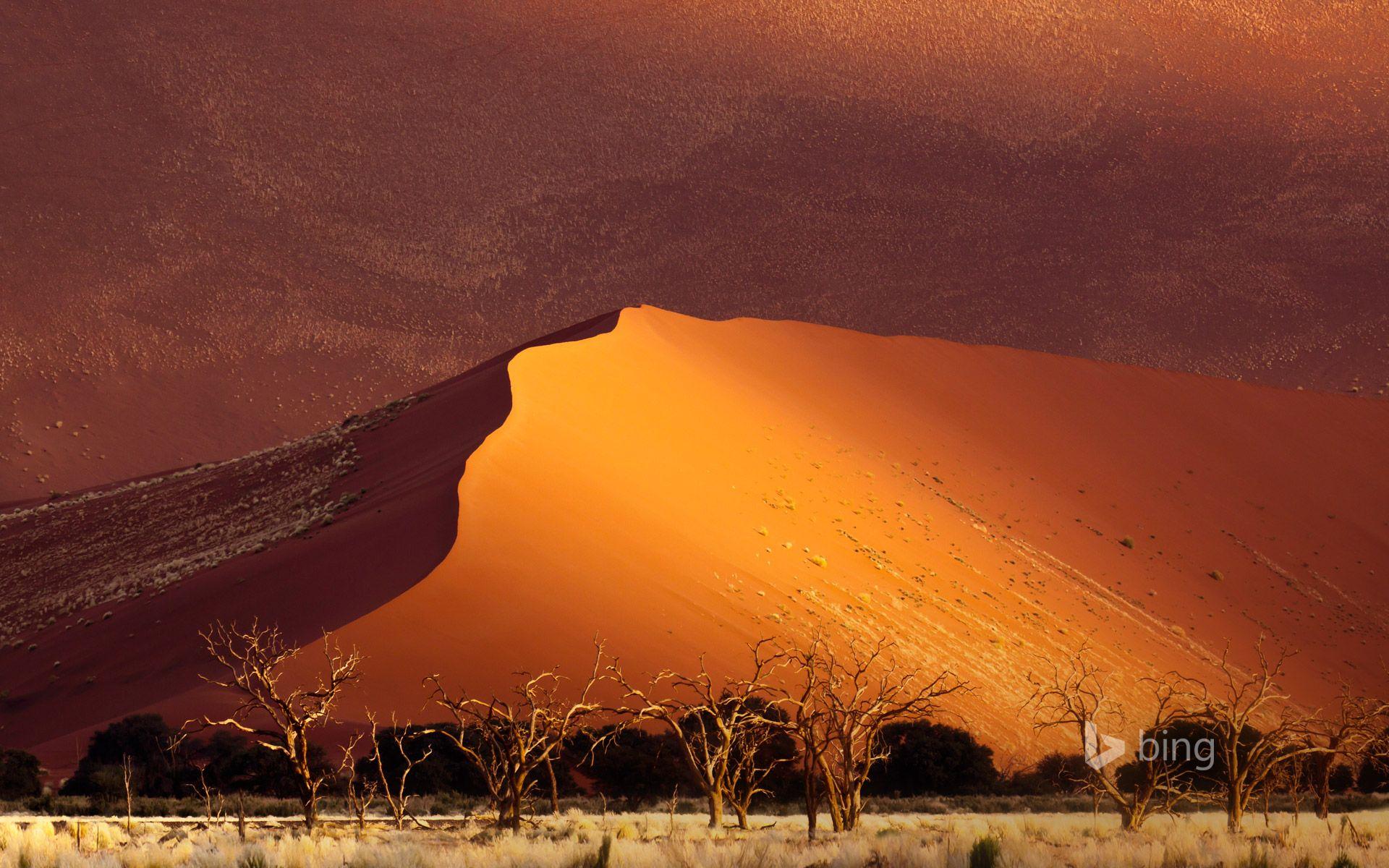 Sand dune, Sossusvlei, Namibia
