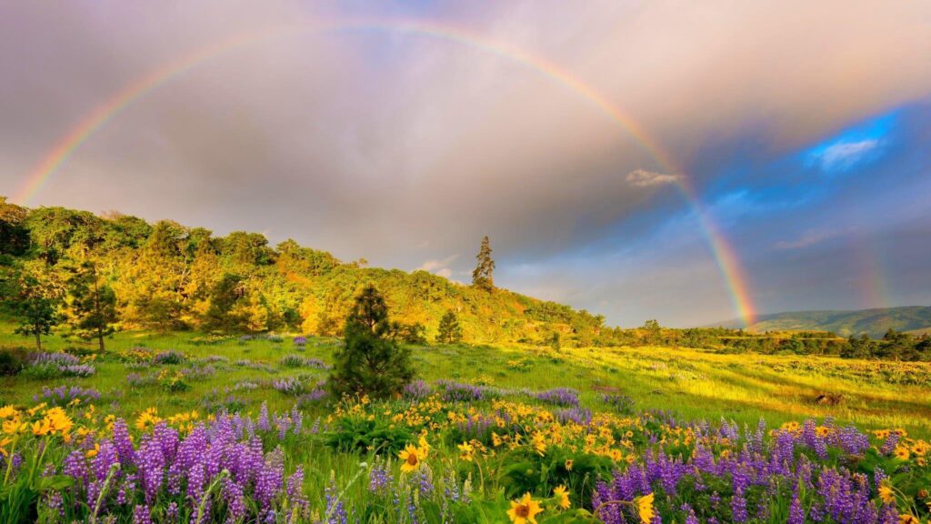 Grass, meadows, flowers, clouds, springtime, rainbow, hills