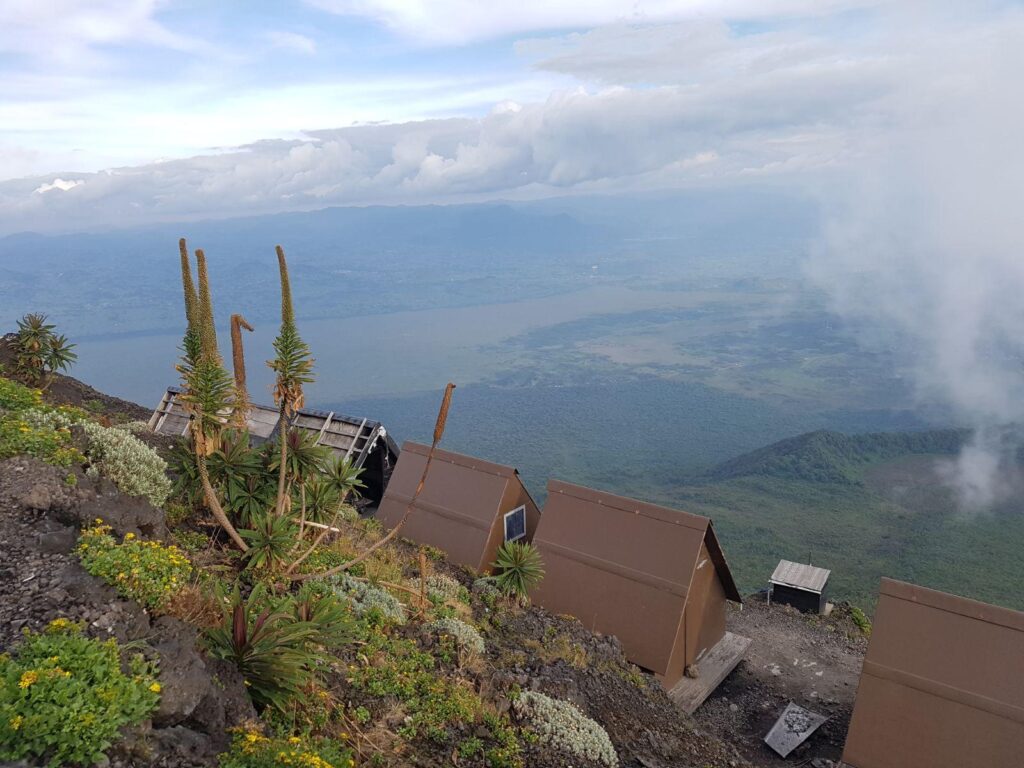 Gorilla Trekking Congo