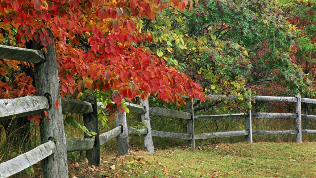 Autumn, park, indiana, state, county, brown, fence, wallpapers