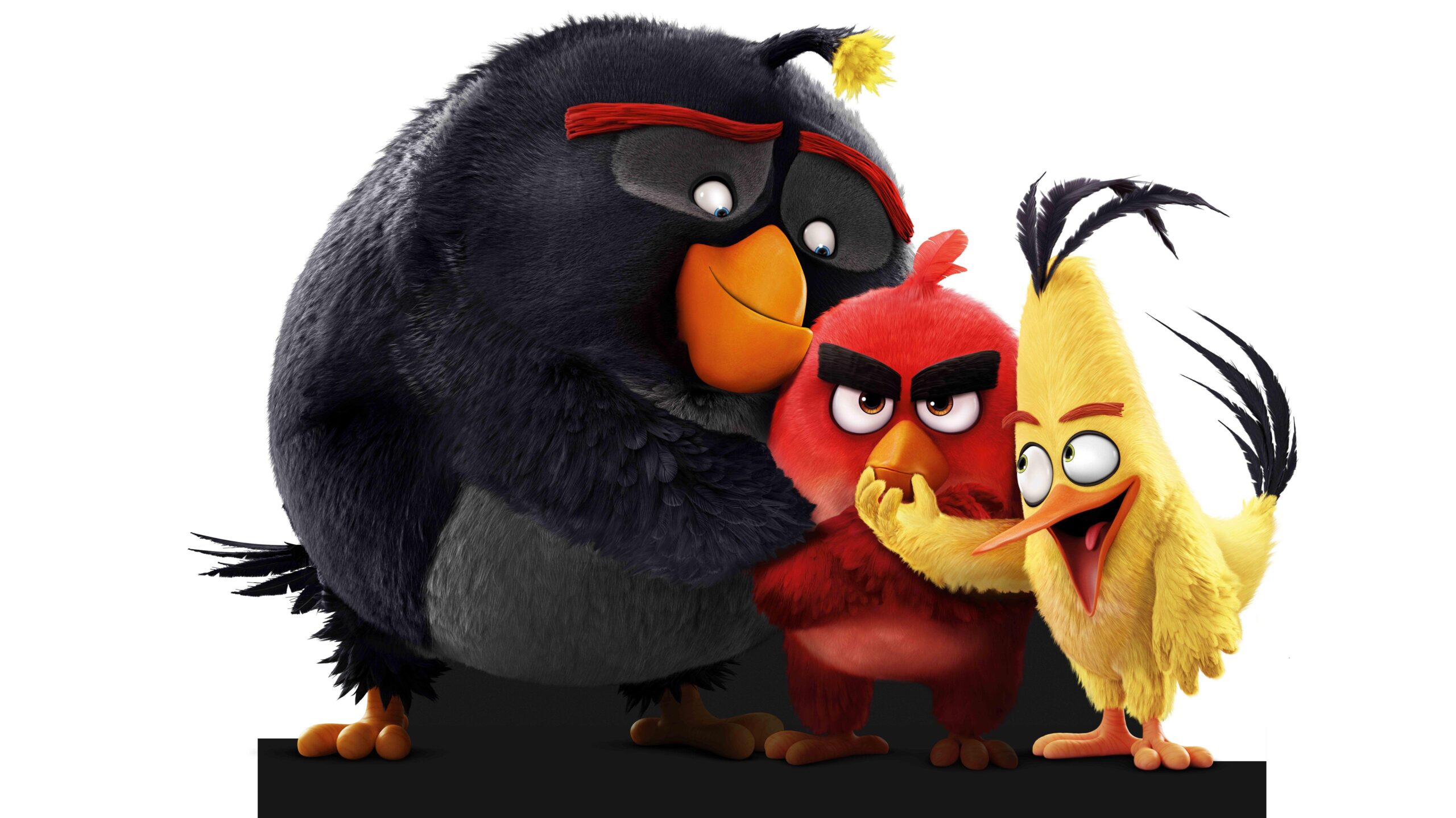 Download The Angry Birds k 2K k Wallpapers In Screen