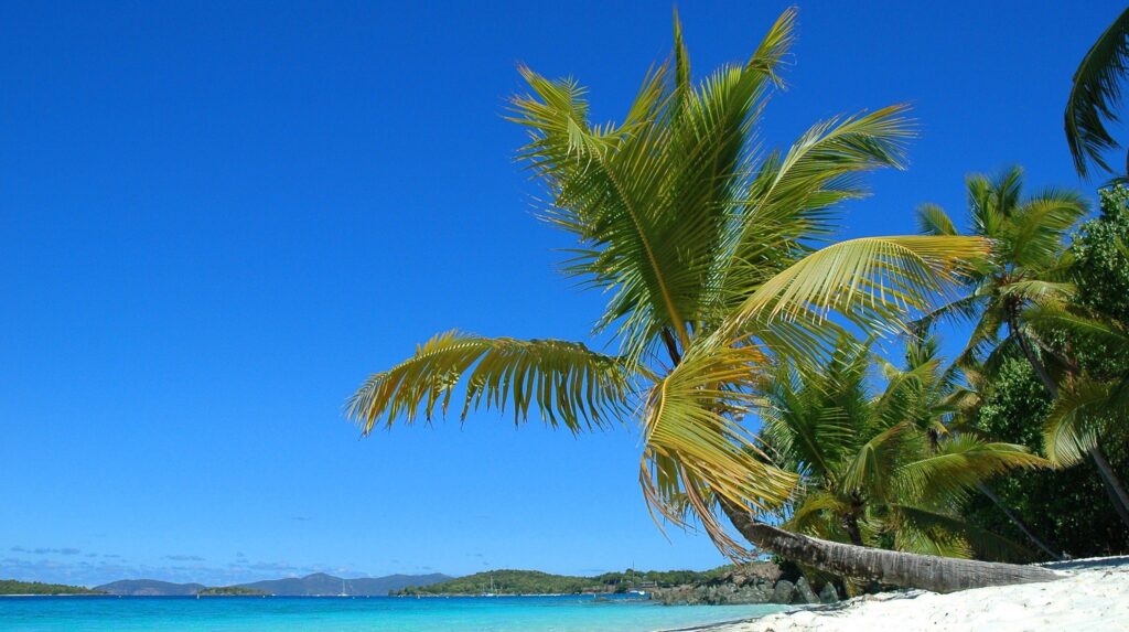 Beach Solomon Islands South Pacific Water Palms Summer Sea