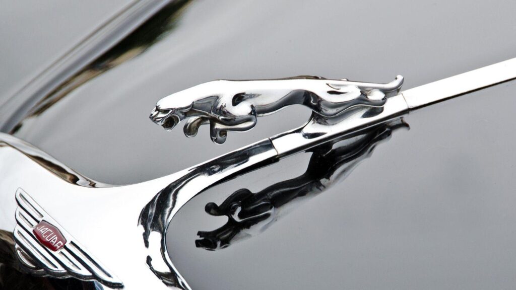 Jaguar Logo 2K Wallpapers p