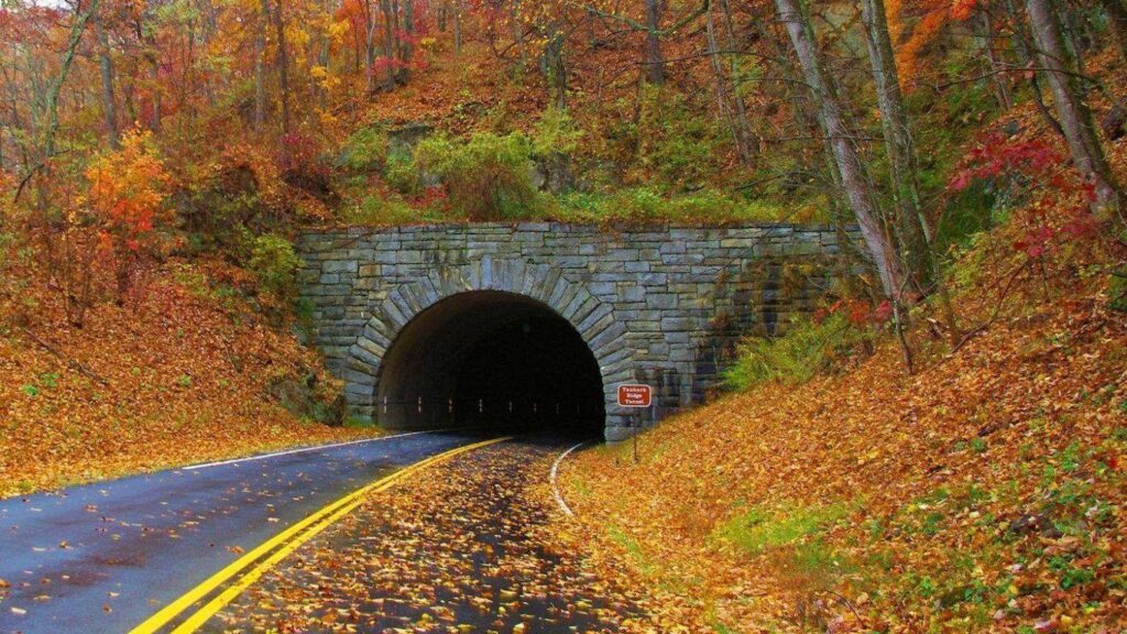Other Tunnel Blue Ridge Mountains Autumn Colorful Falling Leaves