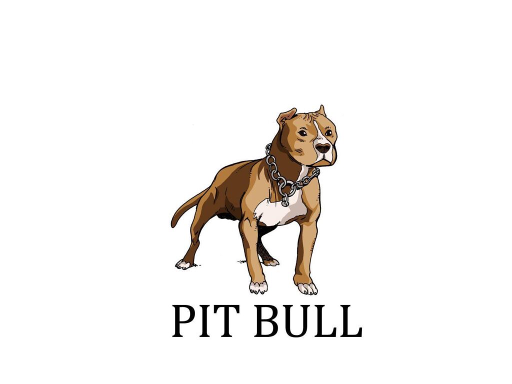 Painted pit bull wallpapers