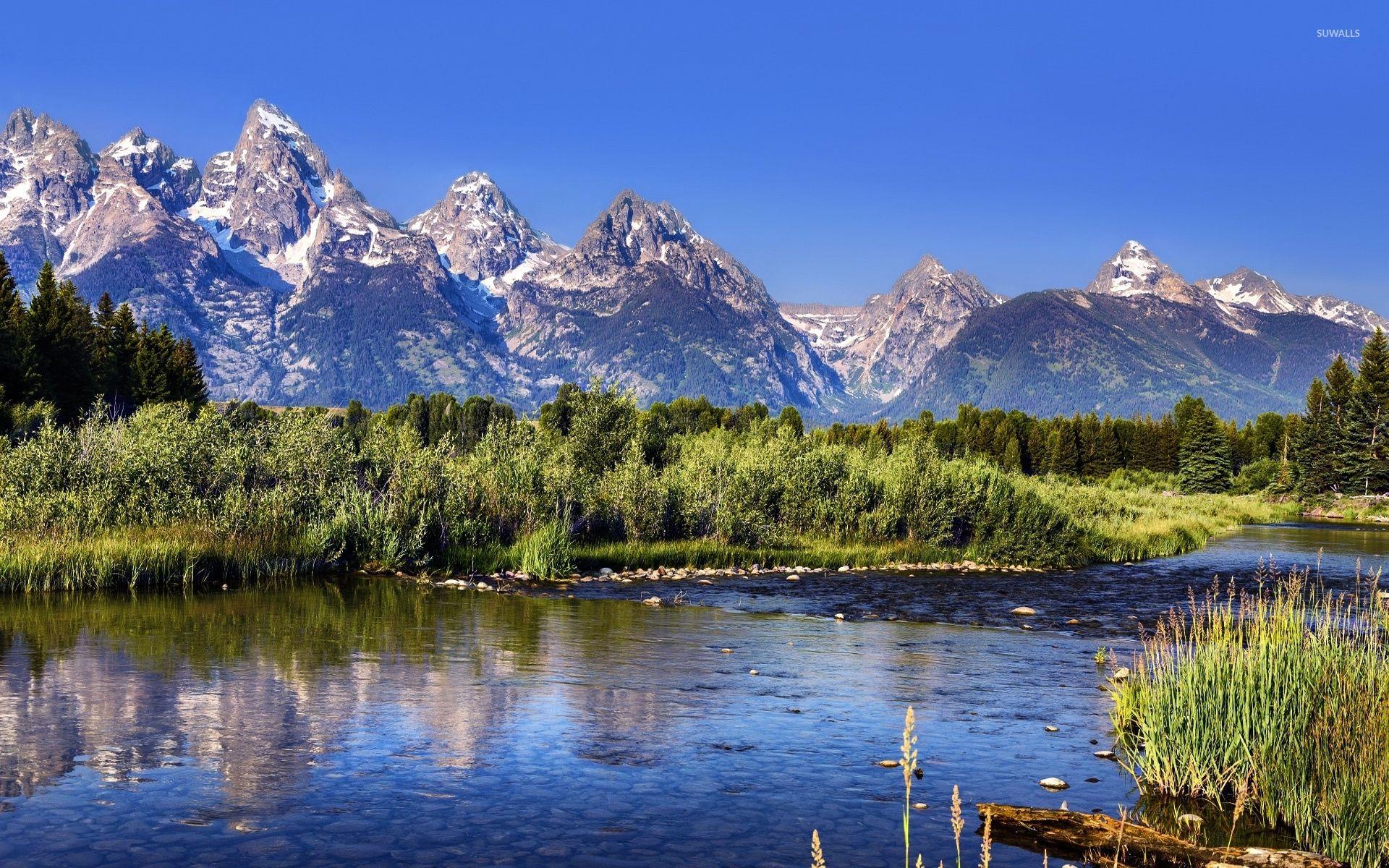 Green nature in Grand Teton National Park wallpapers