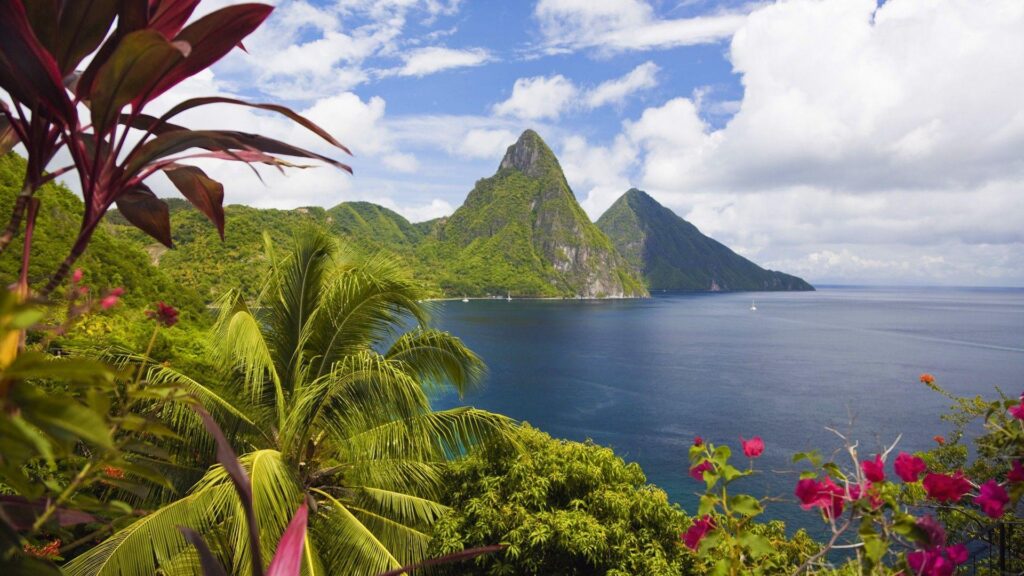 Palm trees bay sea saint lucia wallpapers