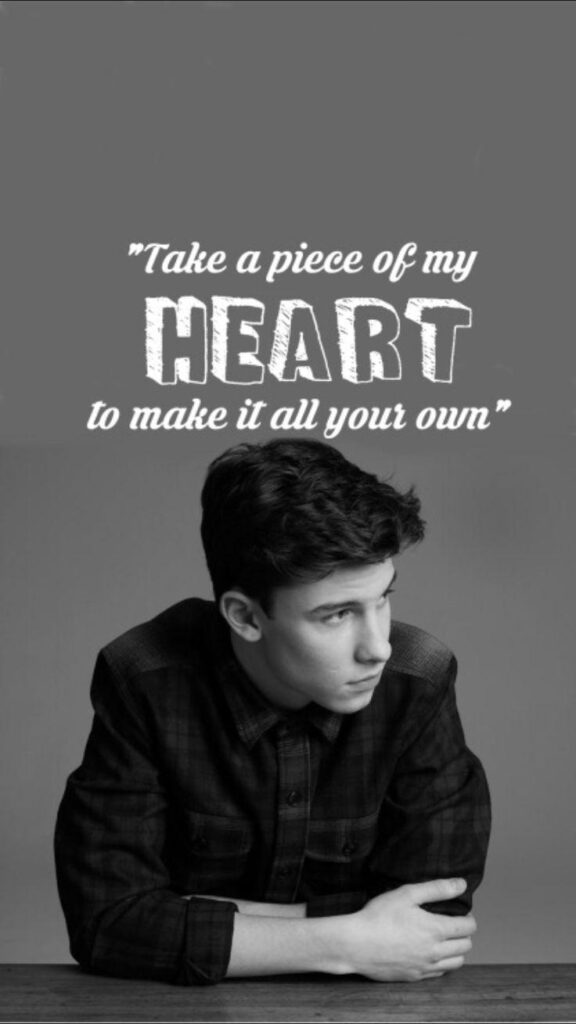 Wallpaper about Shawn Mendes
