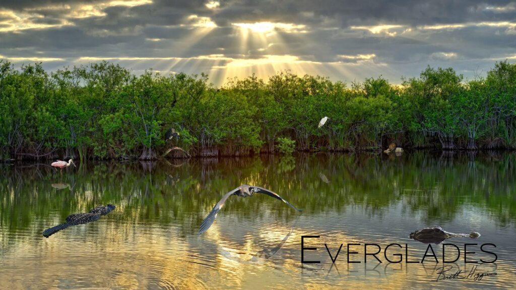 Best 2K Everglades National Park Wallpapers