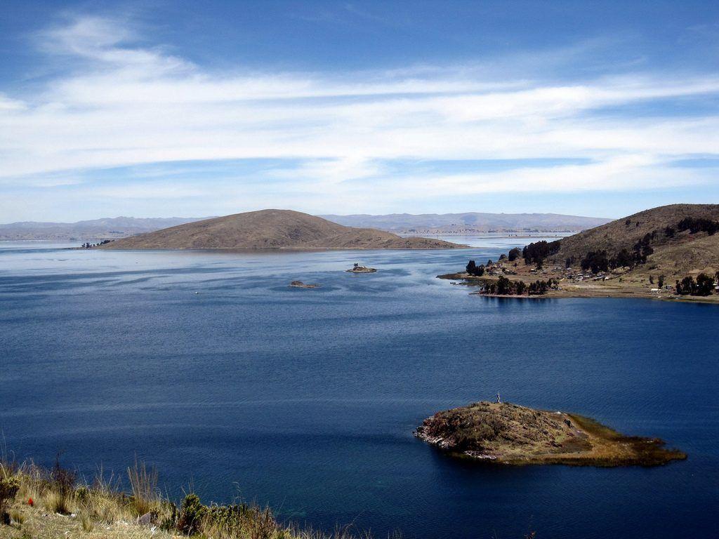 Birds Lake Titicaca Bolivia 2K Wallpapers free download